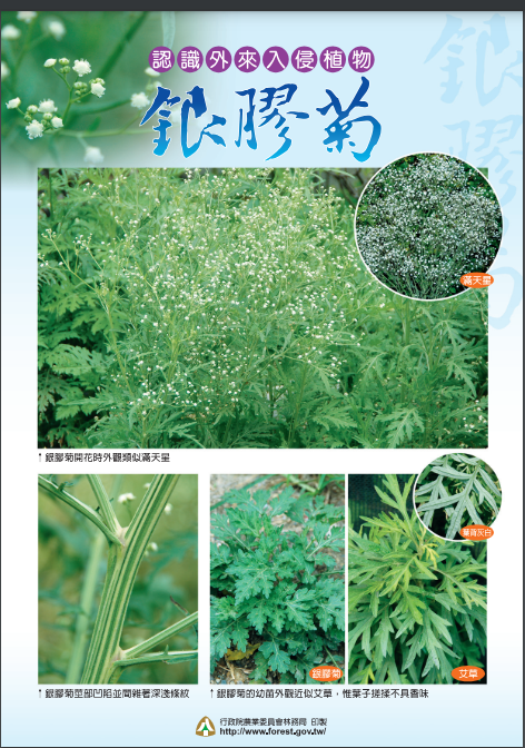 標題圖片